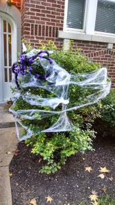 Halloweenの飾り(蜘蛛の巣！）＠St.Louis, Oct.2014, by Ryuta-san