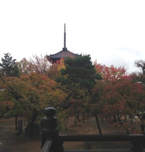 雨の日の真如堂＠Kyoto, Nov.1, 2015