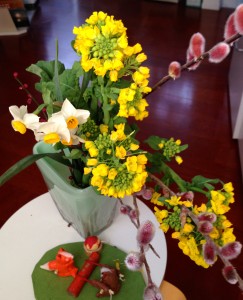 春の香り（菜の花、ネコヤナギ、スイセン、梅）＠Kyoto,Feb.21,2015