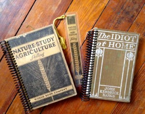 Nature-Study Agriculture Skilling(1920)の実用書がノートに、背表紙栞のデザインもおしゃれ＠Urbana Farmers' Market, August15, 2015