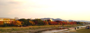 鴨川の紅葉＠kyoto, Nov.16, 2013