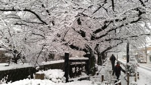 58年ぶりの大雪＠Kyoto, Jan.1,2015,photo by Rikuo