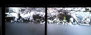 冬の終わりの雪＠Kyoto, March1, 2016