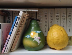 何ヶ月も木ぶら下がっていたシシリアレモン、先日、落下＠Kyoto,May20, 2016