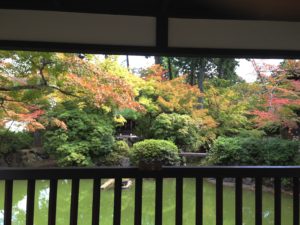 真如堂の紅葉の始まり＠＠Kyoto,Oct.16, 2016