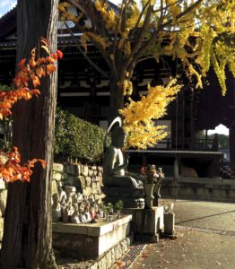 イチョウの木の下の仏陀＠黒谷、Kyoto, Oct.16, 2016