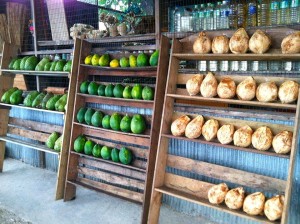 coconuts at Pohnpei by Tamaki-sa
