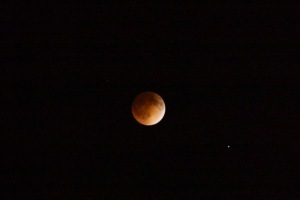 月食@St.Louis, April15, 2104, by Ryuta-san（心がすいとられそうな美しい写真だなあby Mugi)