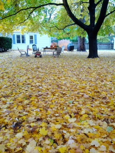秋の日＠Champaign,Nov.2013byRyuta